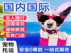 阿鲁科尔沁机场托运国际宠物托运 【国